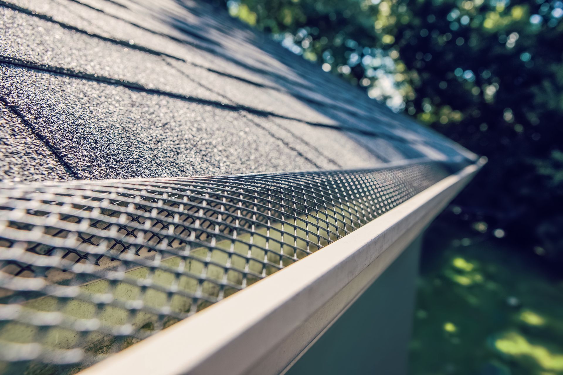 Gutter guards along a shingle roof